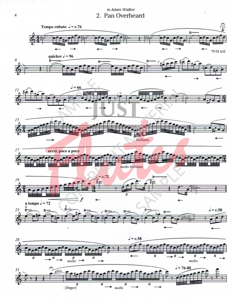 Exploring the new ABRSM 2018 Flute Syllabus Grade 8 Just Flutes Blog