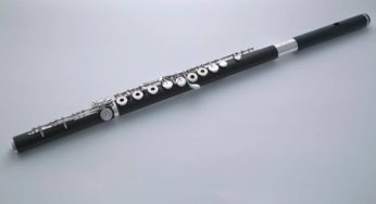 Flutes